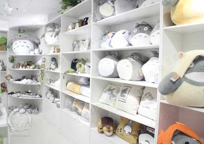 動漫周邊的經(jīng)典——探訪多多洛龍貓動漫店與杭州市凡簡家居用品